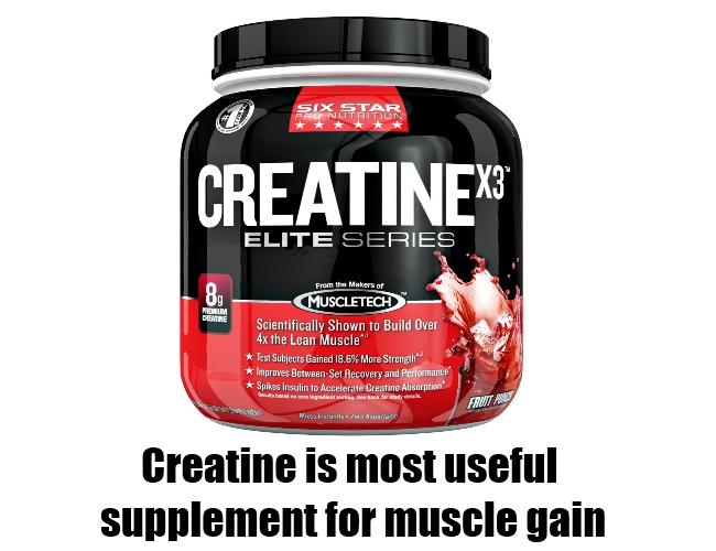 Nutritional Supplements For Muscle Gain How To Gain Muscle With