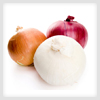 Onion as Herbal Treatment