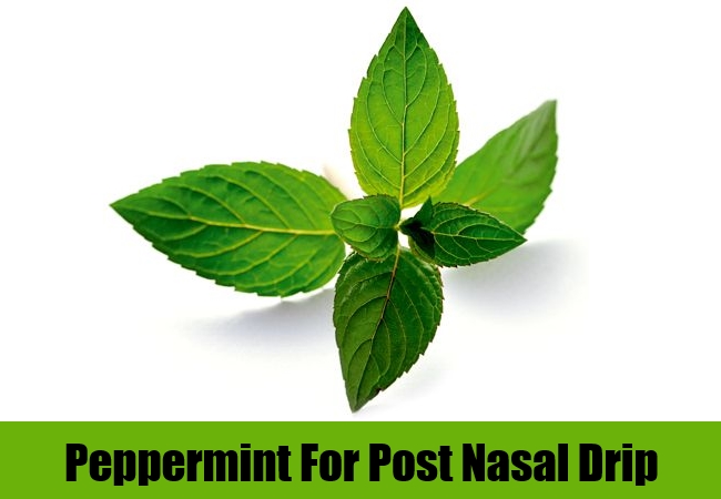 Treating Post Nasal Drip Natural Remedies Treating Post Nasal Drip Natural Remedies
