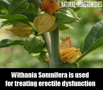 8 Natural Cures For Erectile Dysfunction - Natural Home ...