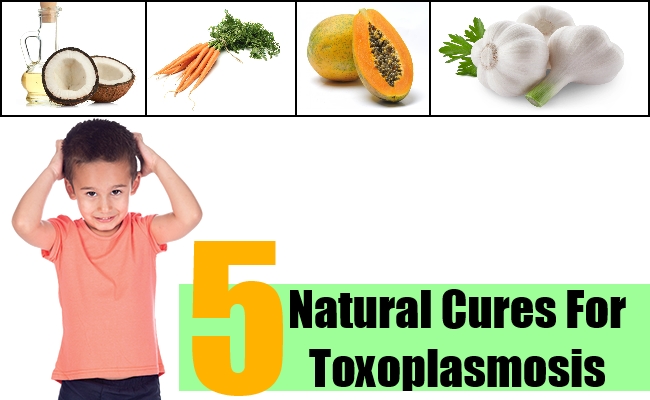 Toxoplasmosis Natural Cure Toxoplasmosis Natural Cure