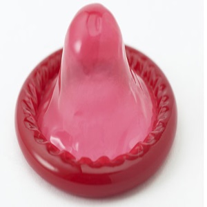 pet in bdsm sexy sinfully