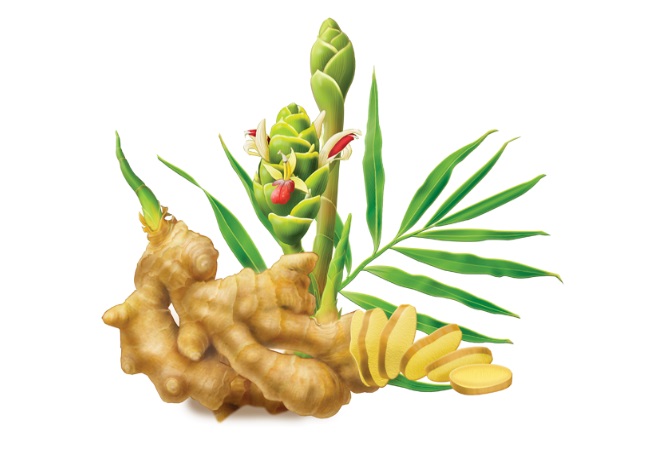 Tegretol 200 mg online