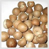 Betel Nut