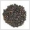 Butea Seeds