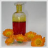 Calendula Oil