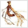 False Unicorn Root