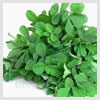 Fenugreek Leaves