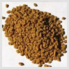 Fenugreek