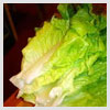 Lettuce Leaves