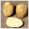 Potato Poultice