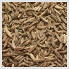 Anise Seed