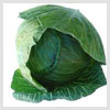 Cabbage Leaves