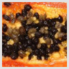 Papaya Seed