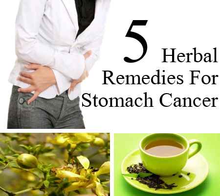 5 Effective Herbal Remedies For Stomach Cancer – Natural Home Remedies ...